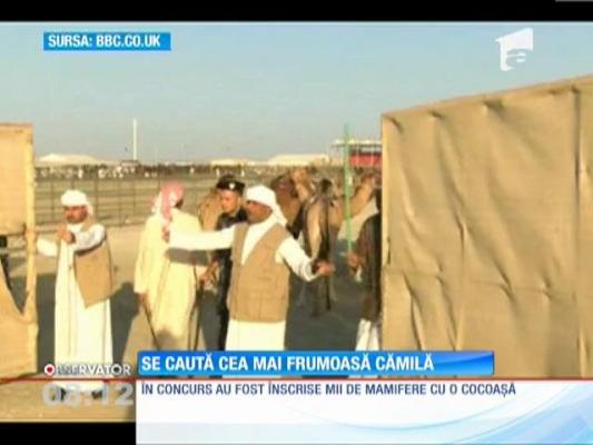 Miss "cămila", premiată cu o maşină!