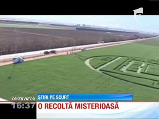 O fermă din USA, locul unei apariții extraterestre