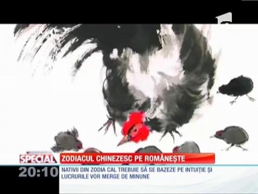 SPECIAL! Zodiacul chinezesc 2014