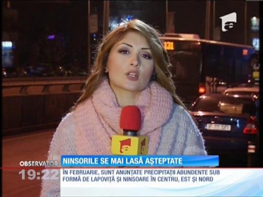 Ninsorile se lasă așteptate. PROGNOZA pe 3 luni