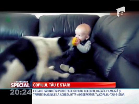 Special! Legătura dintre bebeluşi şi câini