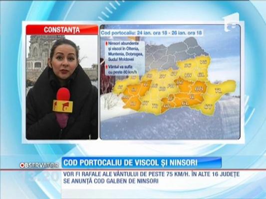 Cod portocaliu de viscol şi ninsori