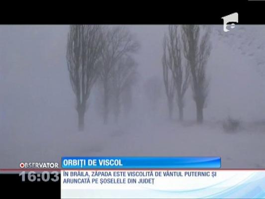 În Brăila, ninge constant de ieri după-amiază