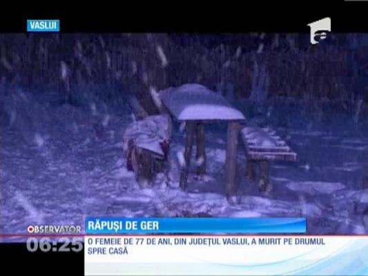 Frigul a făcut șase victime, în România