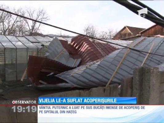 Dezastru cu gheaţă în solariile din Matca