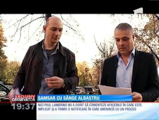 Samsar cu sânge albastru