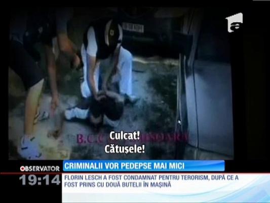 Criminalii României vor pedepse mai mici