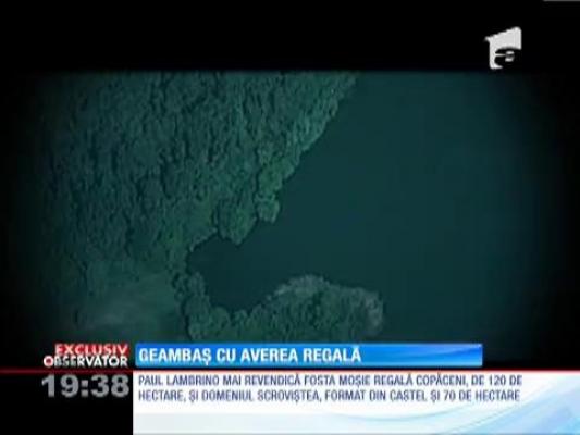 PRINŢUL DE TINICHEA / Geambaş pe averea regală