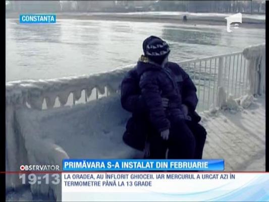 Temperaturi de primăvară în toată ţara