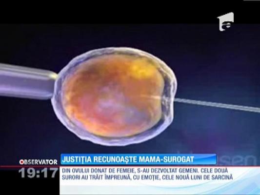 O femeie din Timiş a fost declarată în justiţie mama-surogat