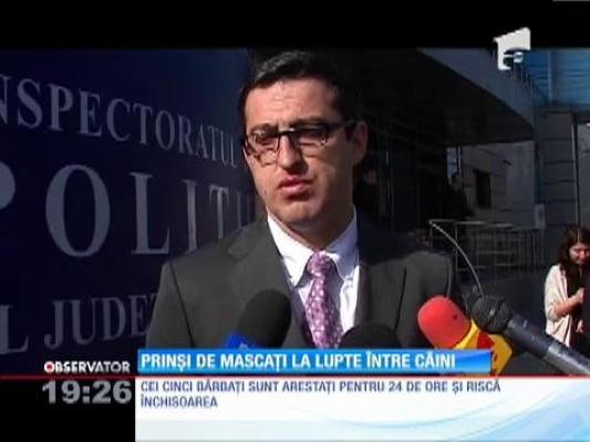 Prinşi de mascaţi la lupte între câini