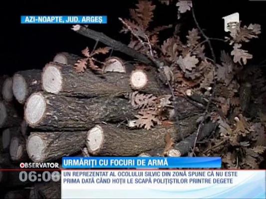 Hoţi de lemne, opriţi cu focuri de armă