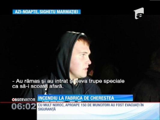 Un incendiu violent a mistuit o fabrică de cherestea din Sighetu Marmaţiei