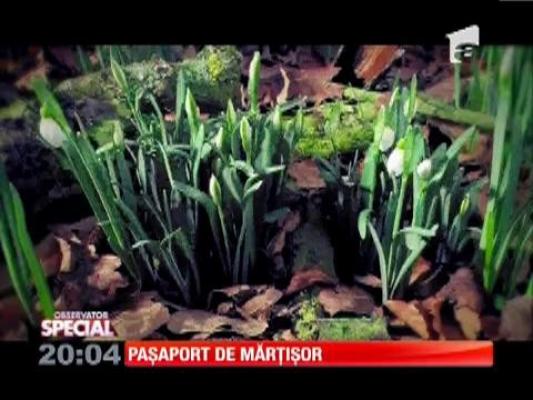 SPECIAL! Paşaport de mărţişor