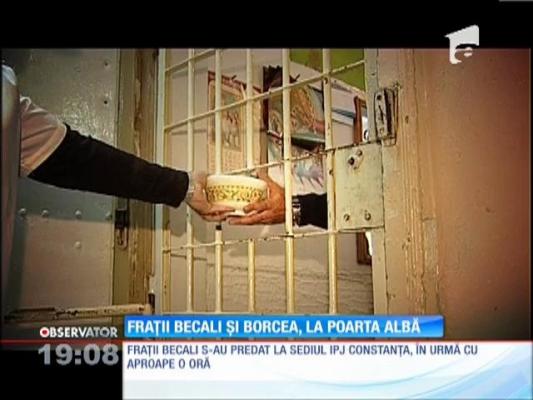 Victor şi Giovani Becali şi Cristian Borcea s-au predat la poliţia din Constanţa