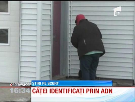 Căţei identificaţi prin AND