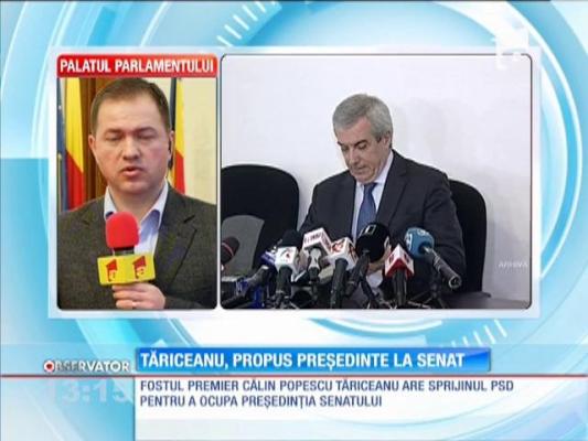 Tăriceanu, propus preşedinte la Senat