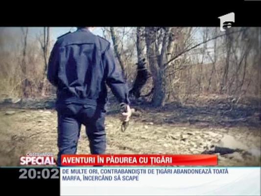 Aventuri în pădurea cu ţigări