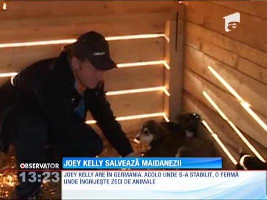 Joey Kelly salvează maidanezii