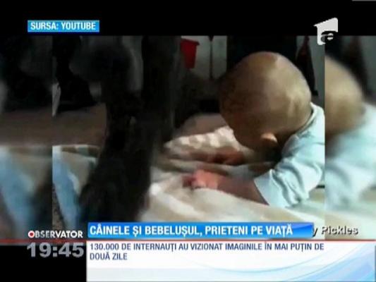 Dragostea dintre un copil şi un câine face înconjurul lumii, pe internet