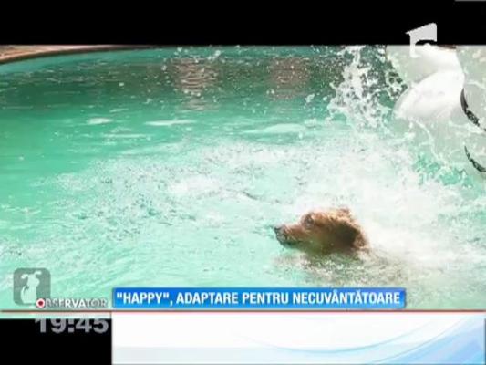 "Happy", variantă dedicată necuvântătoarelor