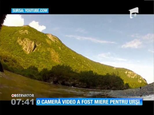 O cameră video a fost miere pentru urși!
