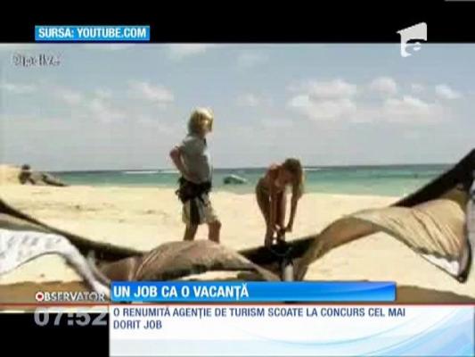 Tuturor le-ar plăcea să lucreze aici: Un job ca o vacanţă