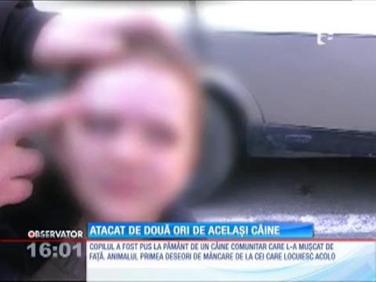 Un copil a fost atacat de două ori de acelaşi câine maidanez