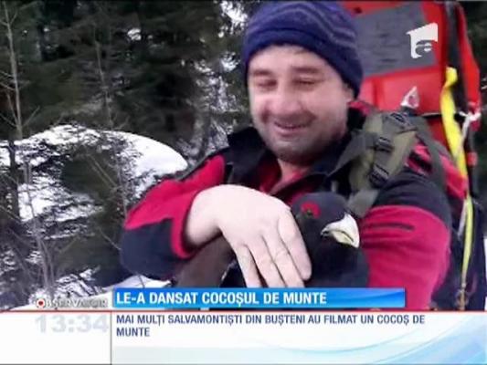 Salvamontişti din Bucegi au luat în brațe cocoșul de munte