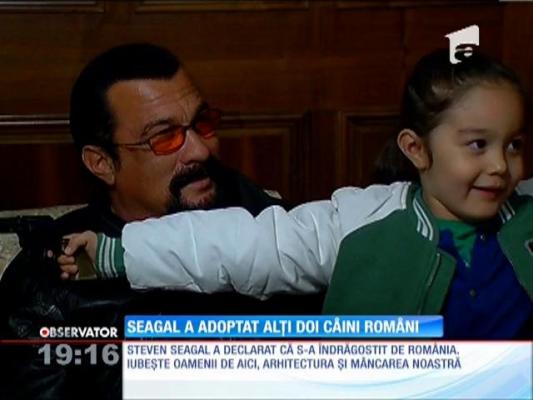 Seagal a adoptat alți doi câini români