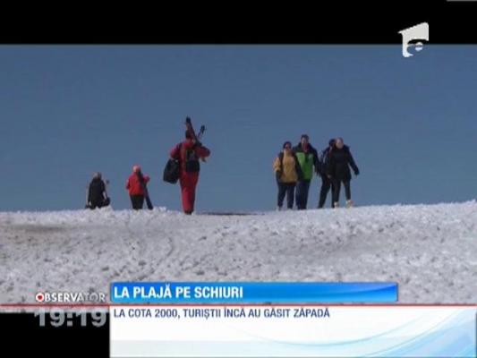 La plajă pe schiuri