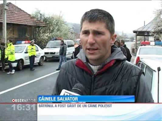 Un bătrân rătăcit din Ţicleni a fost salvat de un căine