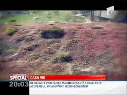 Special! Casa 100% ecologică din Bistriţa