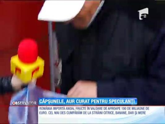 Căpșunele, aur curat pentru speculanți