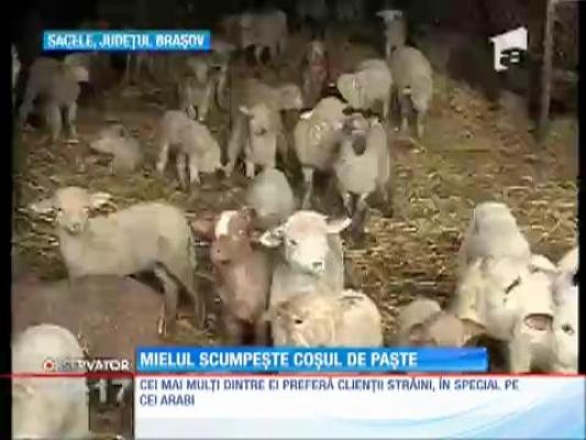 Carnea de miel scumpeşte coşul de Paşte