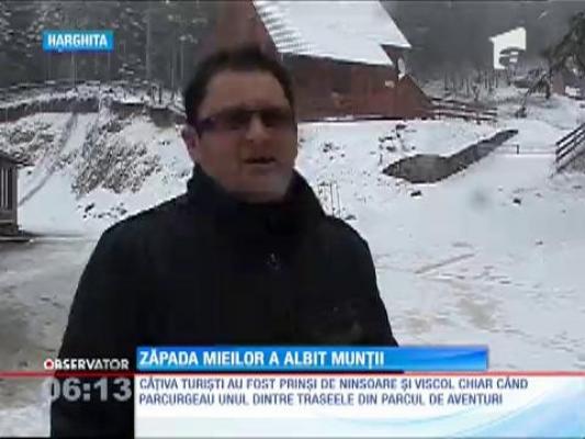 Zăpada mieilor a albit munţii