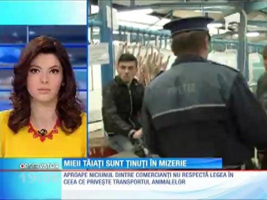 UPDATE! Sute de kilograme de carne de miel, confiscate în Constanţa