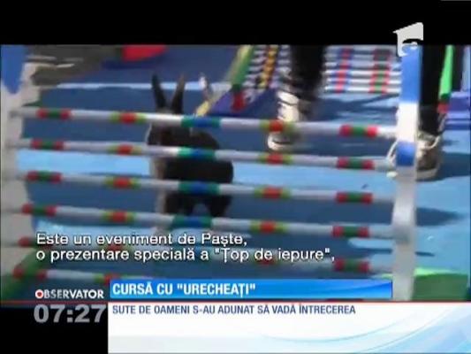 Cursa iepurașilor din Praga