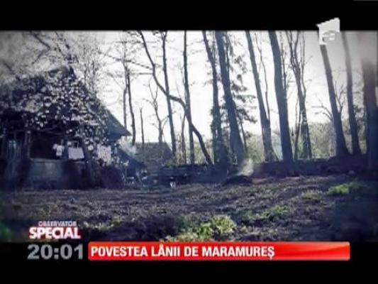 SPECIAL! Povestea lânii de Maramureș
