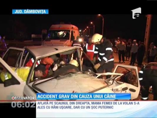 Accident grav de circulaţie în Dâmboviţa