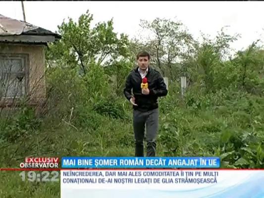 Mulți dintre români nu mai sunt interesați de locurile de muncă din Uniunea Europeană
