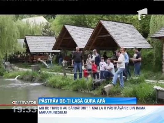 Păstrăvăria de poveste din satul Mara