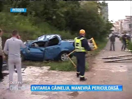 Un poliţist din Pitești a fost implicat într-un accident, după ce a încercat să evite un câine