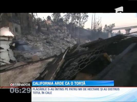 Incendiile din California au scăpat de sub control!