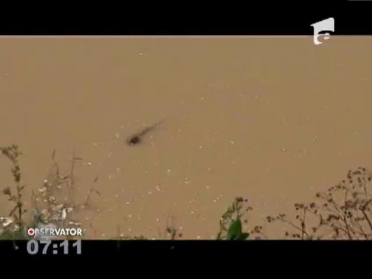 Un bărbat a fost luat de o viitură de pe malul Siretului