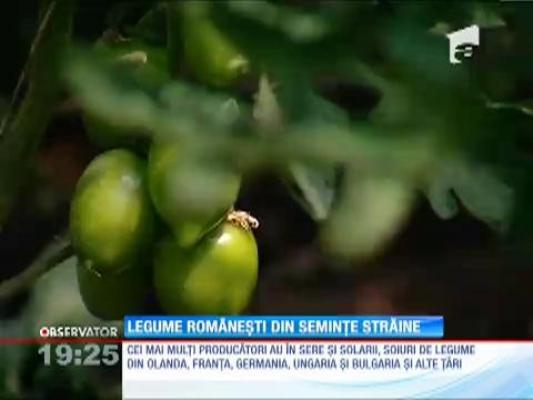 Legume românești din semințe străine