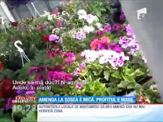 Comercianţii fac profituri bune pe marginea şanţurilor