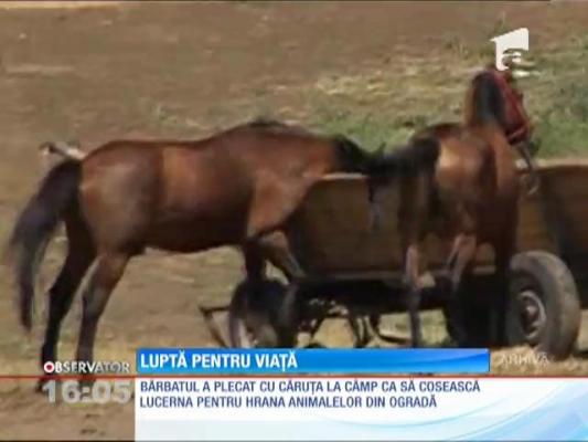 Un bărbat din Galați se luptă pentru viată dupa ce a căzut din căruţă