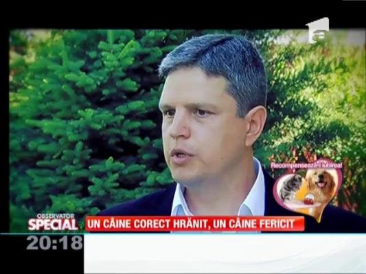 SPECIAL! Un câine bine hrănit e un câine fericit!