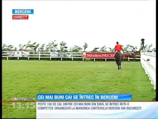 Cei mai buni cai se întrec în Berceni